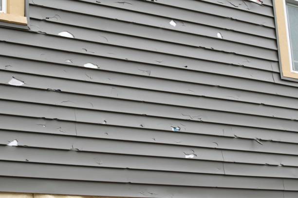  Roan Mountain, TN Siding Installation & Repair Pros